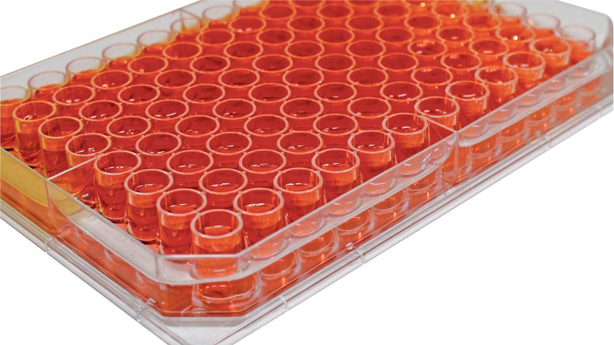 のん坊ページ Amazon | サーモフィッシャー エッジプレート2.0 フタ付 167542